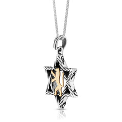Pendant, 925 Sterling Silver Star of David with 9K Gold "Lion of Judah" - The Peace Of God®