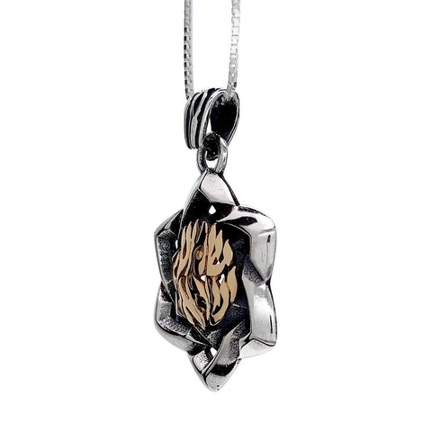 Kabbalah Pendant Star of David w/ Prayer Shema Yisrael Sterling Silver & Gold 9K - The Peace Of God®