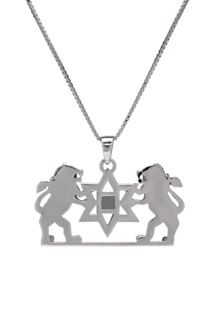 Lion of Judah Silver Pendant with Star of David - Nano Sim Bible - The Peace Of God®